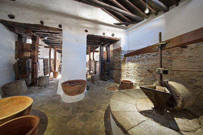 Olive Oil Excursion to an olive mill in the Lecrín Valley - The tasting: extra virgin olive oil in context