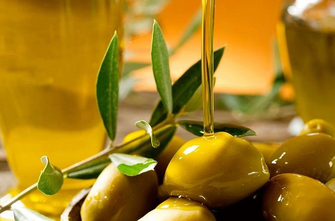 Olive Oil Excursion to an olive mill in the Lecrín Valley - The guide and the small-group setting