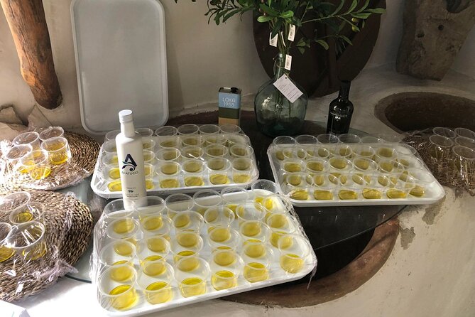 Olive Oil Excursion to an olive mill in the Lecrín Valley - Why this makes a pleasant break from Granada