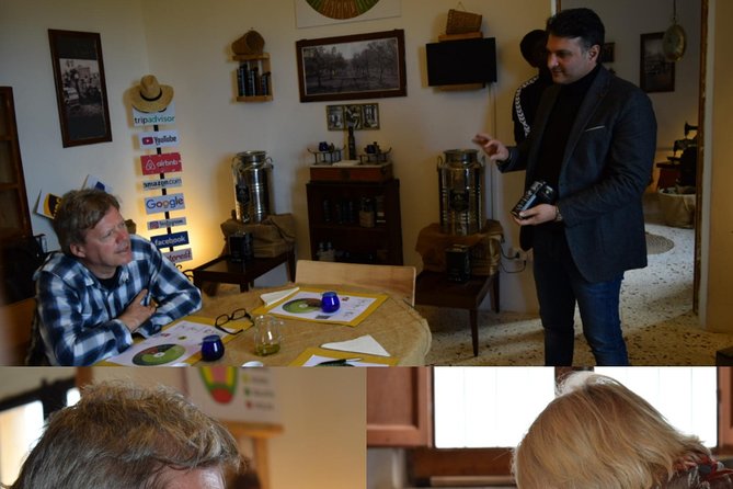 Olive Oil Experience - Walking the olive grove and learning how harvest works