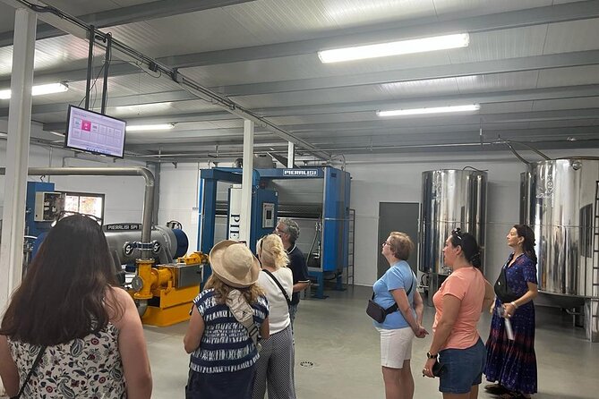 Olive Oil Factory from Seville Private Tour - Why olive oil makes a good Seville side trip