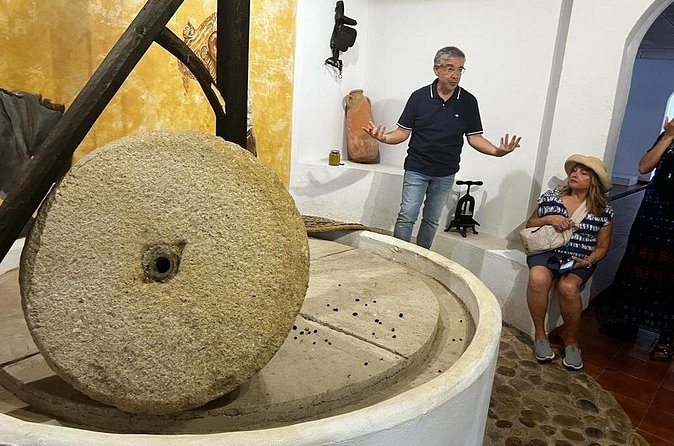 Olive Oil Factory from Seville Private Tour - Is $266.05 per person a fair price?