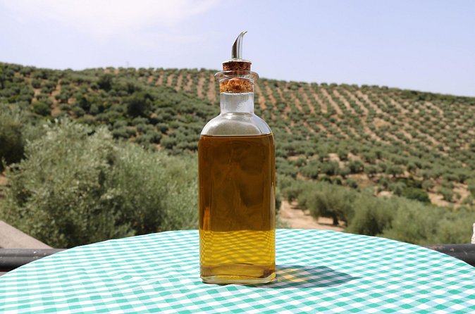 Olive Oil Factory from Seville Private Tour - Who will enjoy this private outing