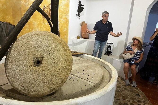 Olive Oil Factory from Seville Private Tour - Walking through the olive oil process