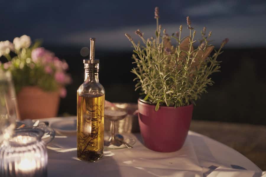 Olive Oil Factory + Wineries + Full Asado Lunch (Full Day) - CarinaE S.A. and the wine-making story