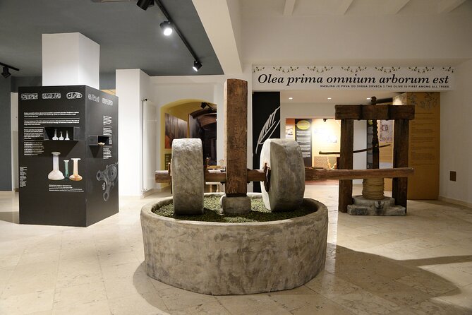 Olive Oil Guided Tasting and History in Pula - Entering the House of Istrian Olive Oil