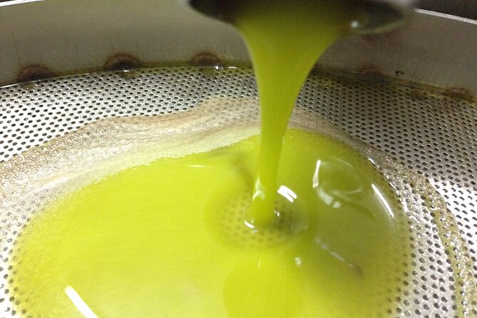 Olive Oil Mill experience and tasting in Salento with Guide - Inside a Salento olive mill with nine generations of family history