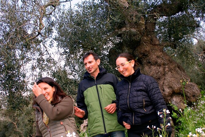Olive Oil Mill experience and tasting in Salento with Guide - Is $59 a fair price?