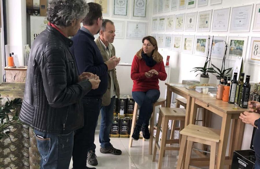 Olive Oil Mill Tour with Tasting near Molfetta & Bari - Key points before you book