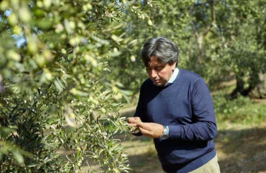 Olive Oil Mill Tour with Tasting near Molfetta & Bari - Storage rooms and the controlled cellar