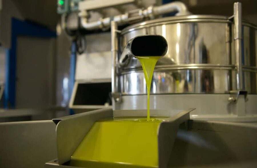 Olive Oil Mill Tour with Tasting near Molfetta & Bari - Is $42 a fair price?