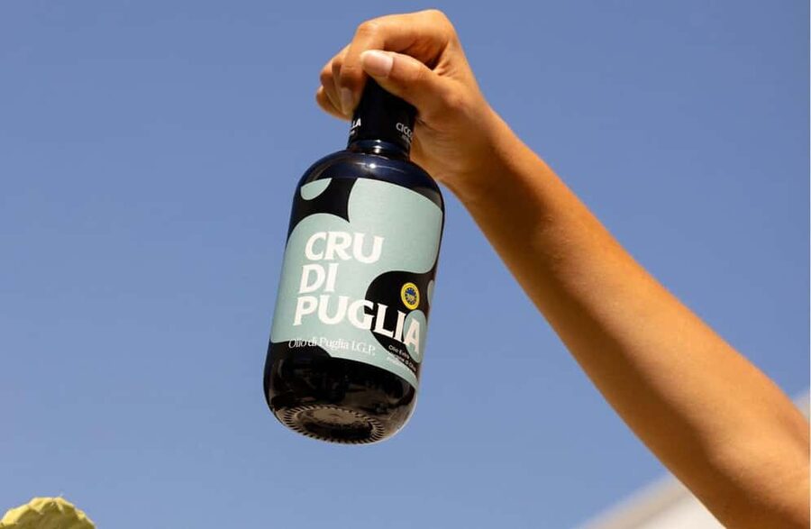 Olive Oil Mill Tour with Tasting near Molfetta & Bari - Should you book the Ciccolella olive mill tour?