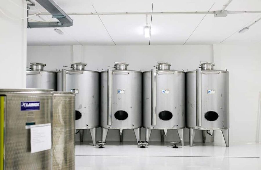 Olive Oil Mill Tour with Tasting near Molfetta & Bari - The 35-minute production tour