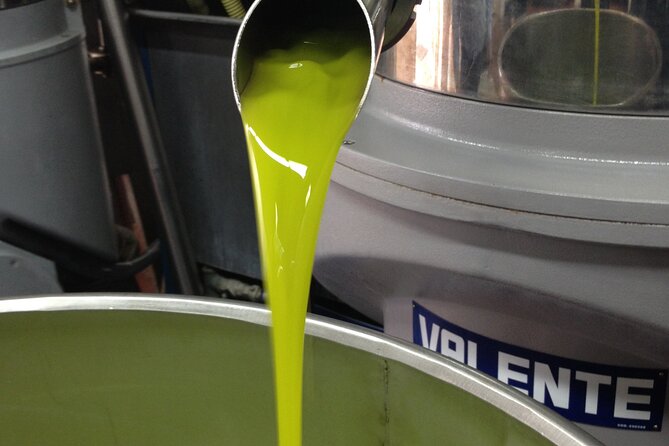 Olive Oil Private Full-Day Tour with Tasting in Valencia - Key points to know before booking