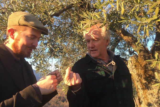 Olive Oil Private Full-Day Tour with Tasting in Valencia - What the private format adds