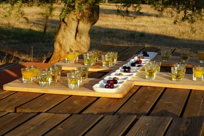 Olive Oil Tasting at the Mykonian Farm - The Greek farm setting adds context