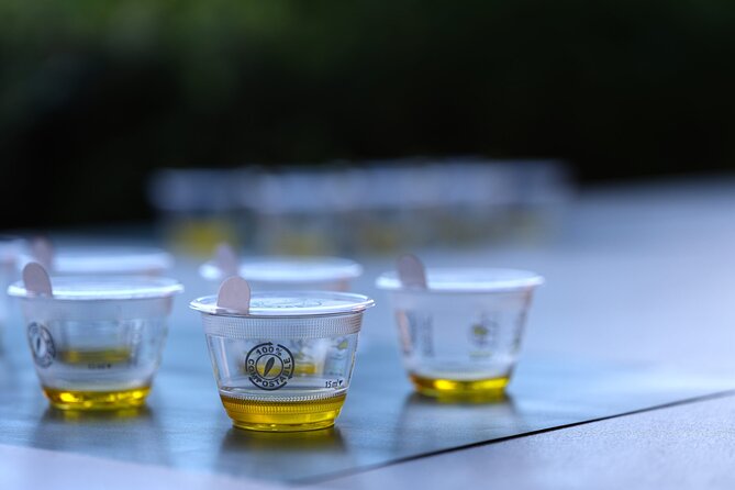 Olive Oil Tasting at the Mykonian Farm - Is $104.28 a fair price?