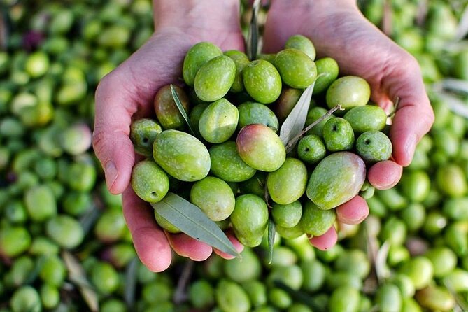 Olive Oil tasting breakfast & Tour in Cordoba - Tasting Three Olives Before the Oil