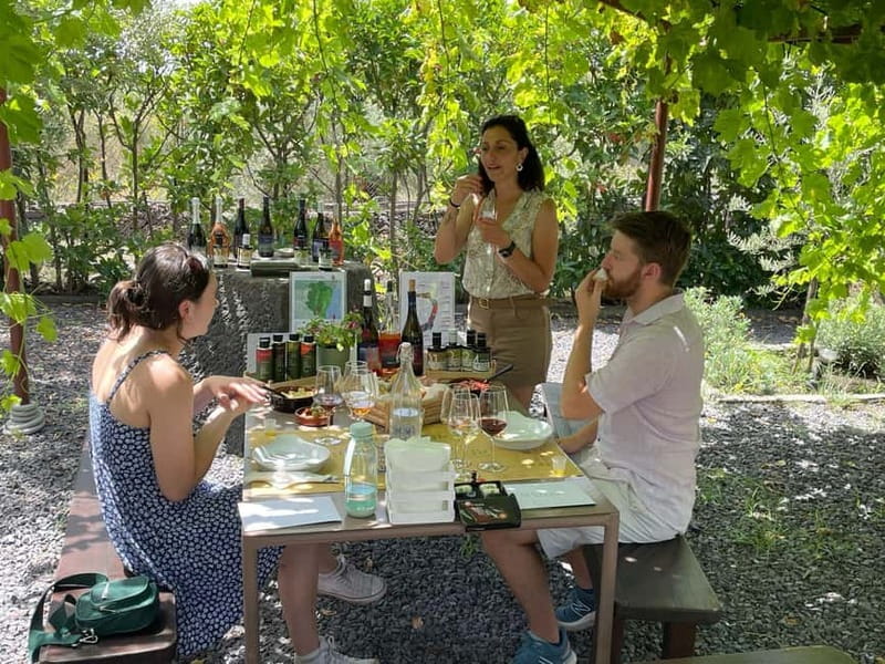 Olive Oil Tasting Experience in Nicolosi - Starting at Serafica Terra di Olio e Vino