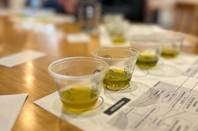 Olive Oil Tasting Experience in Sevilla - The opening lesson: olives, culture, and production