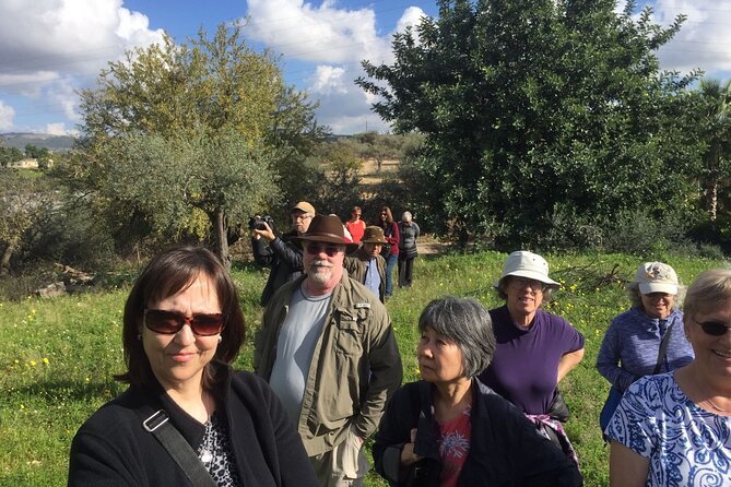 Olive Oil Tasting & Historic Olive Mill Tour in Ragusa area - Premium oils and a colorful flavored-oil lineup