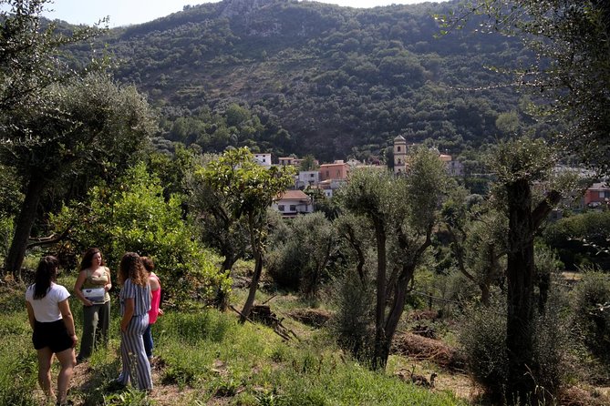 Olive oil tasting in Sorrento - Who will enjoy this Sorrento experience most?