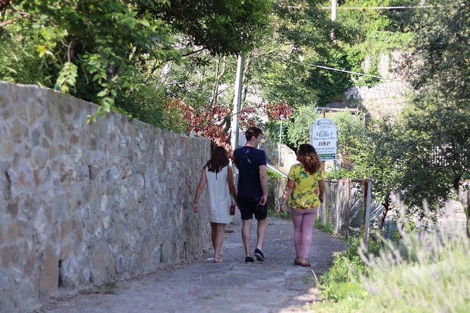 Olive oil tasting in Sorrento - Walking through the olive groves and old farm buildings