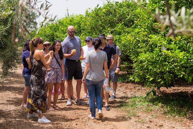Olive oil tasting in Syracuse, Sicily - Evoo Tour - Timing, meeting point, and planning advice