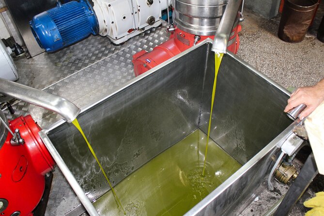 Olive Oil Tasting & Private Chef with Lunch - Tasting several Sicilian oils