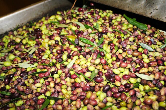 Olive Oil Tasting & Private Chef with Lunch - A Sicilian lunch with real range
