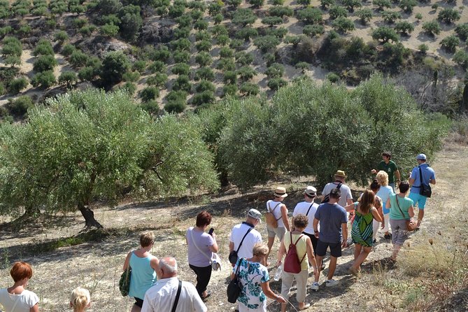 Olive Oil Tasting Tour - Is $19.36 good value?