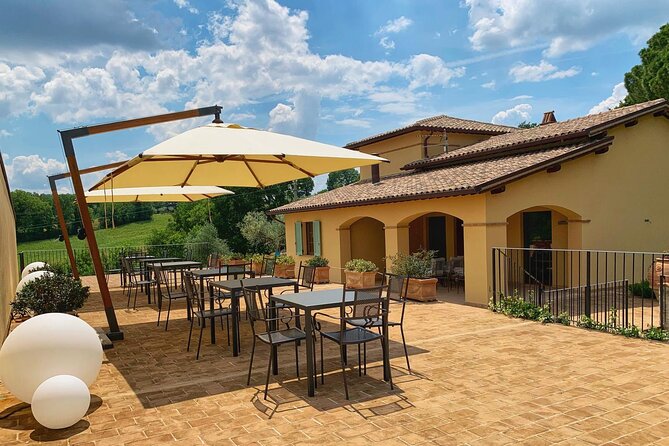 Olive Oil tasting with Olive Mill Tour in Umbria. - Key points to know before you go