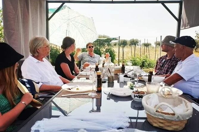 Olive oil tasting with seminar in Metagitsi - Halkidiki - Key points to know before you book