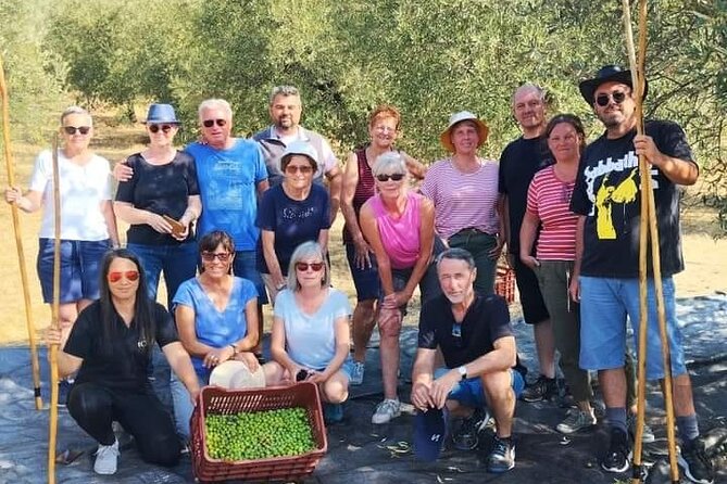Olive oil tasting with seminar in Metagitsi - Halkidiki - What you take home after the tasting