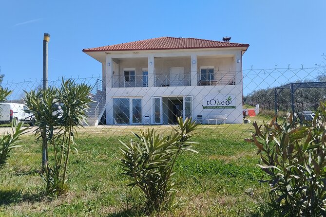 Olive oil tasting with seminar in Metagitsi - Halkidiki - Walking among the olive groves