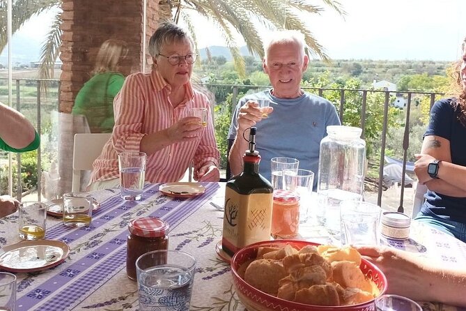 Olive Oil Tour and Tasting in Málaga - October brings a hands-on harvest option
