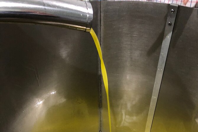 Olive Oil Tour and Tasting in Málaga - Who will enjoy this Málaga farm visit