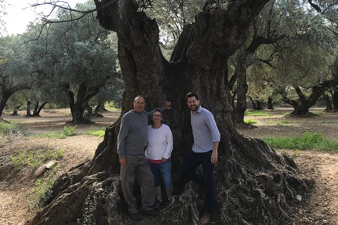 Olive Oil Tour and Visit to Belchite Old Town - Why this Zaragoza outing feels different