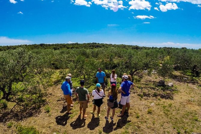 Olive Oil Tour of Solta Island with Lunch - Key things to know before booking