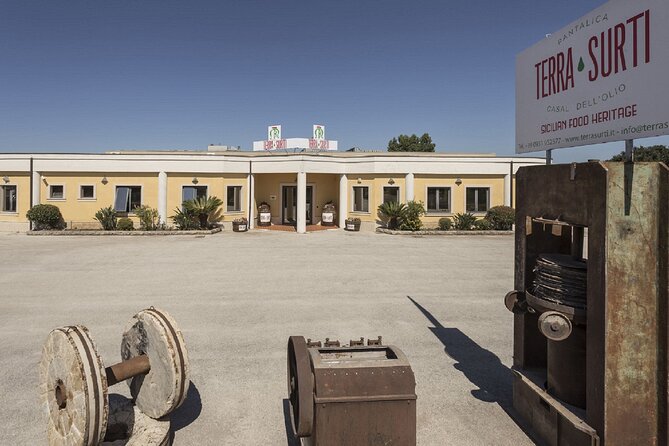 Olive Oil Tour Visit to the oil mill and olive oil tasting - Who will enjoy this tour most?