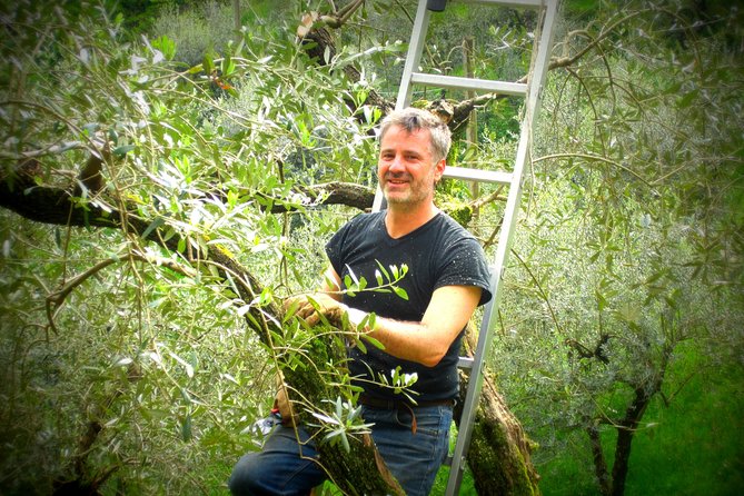 Olive Oil tour with Tuscan dinner - Is $78.44 a fair price?