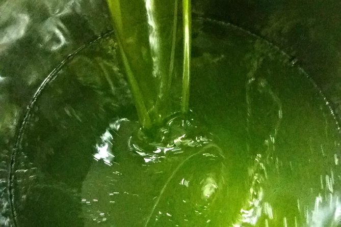 Olive Oil tour with Tuscan dinner - Who should book this Tuscan olive oil tour?