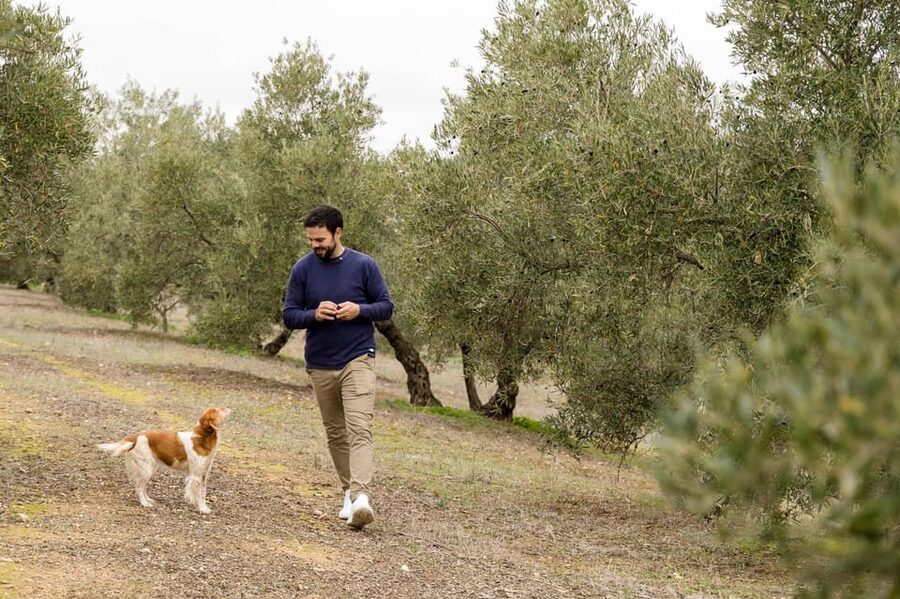 OLIVE OIL & WINE TOUR Organic fields - 5 Wines + 3Olive Oils - Leaving Málaga for Mollina