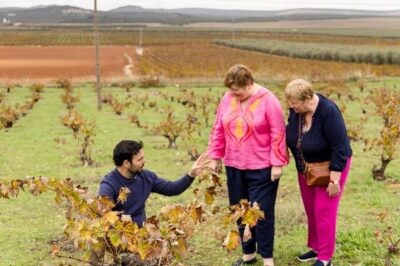 OLIVE OIL & WINE TOUR Organic fields – 5 Wines + 3Olive Oils