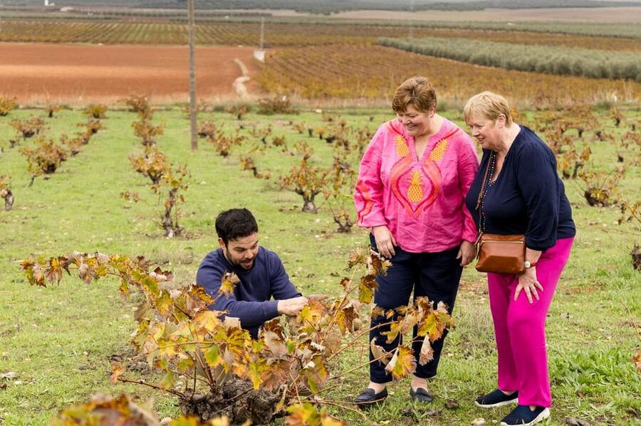 OLIVE OIL & WINE TOUR Organic fields - 5 Wines + 3Olive Oils - Is $108 per person fair?