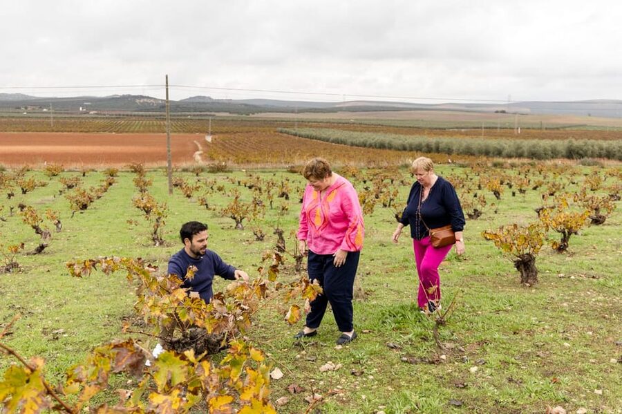 OLIVE OIL & WINE TOUR Organic fields - 5 Wines + 3Olive Oils - Timing, comfort, and what to bring