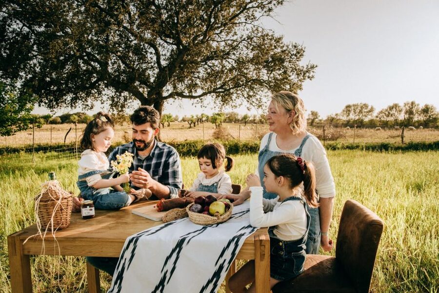 Olive plant and mill visit and tasting - Why this olive estate visit is worth your afternoon