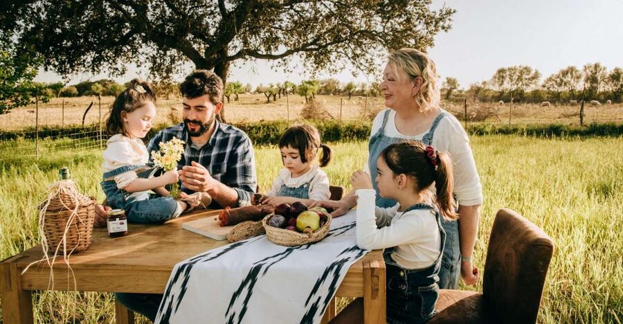 Olive plant and mill visit and tasting - Who should book this olive oil experience?