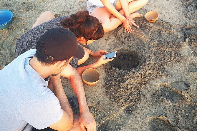 Olive Ridley Turtle Release Experience - A beach outing with a conservation purpose