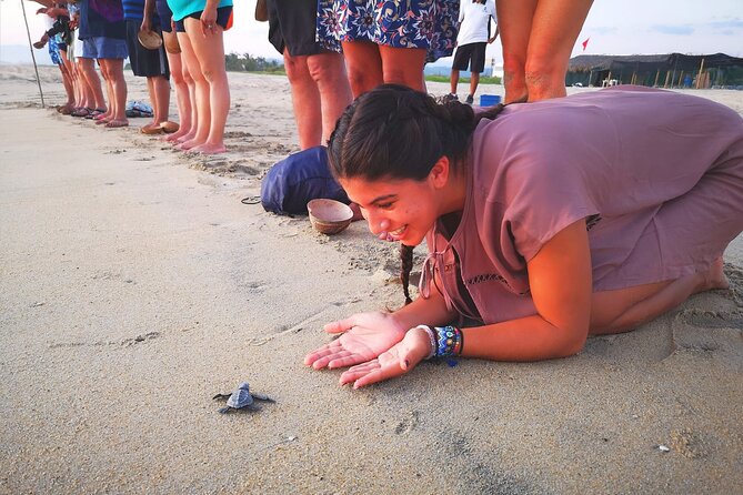 Olive Ridley Turtle Release Experience - Releasing an Olive Ridley turtle toward the sea